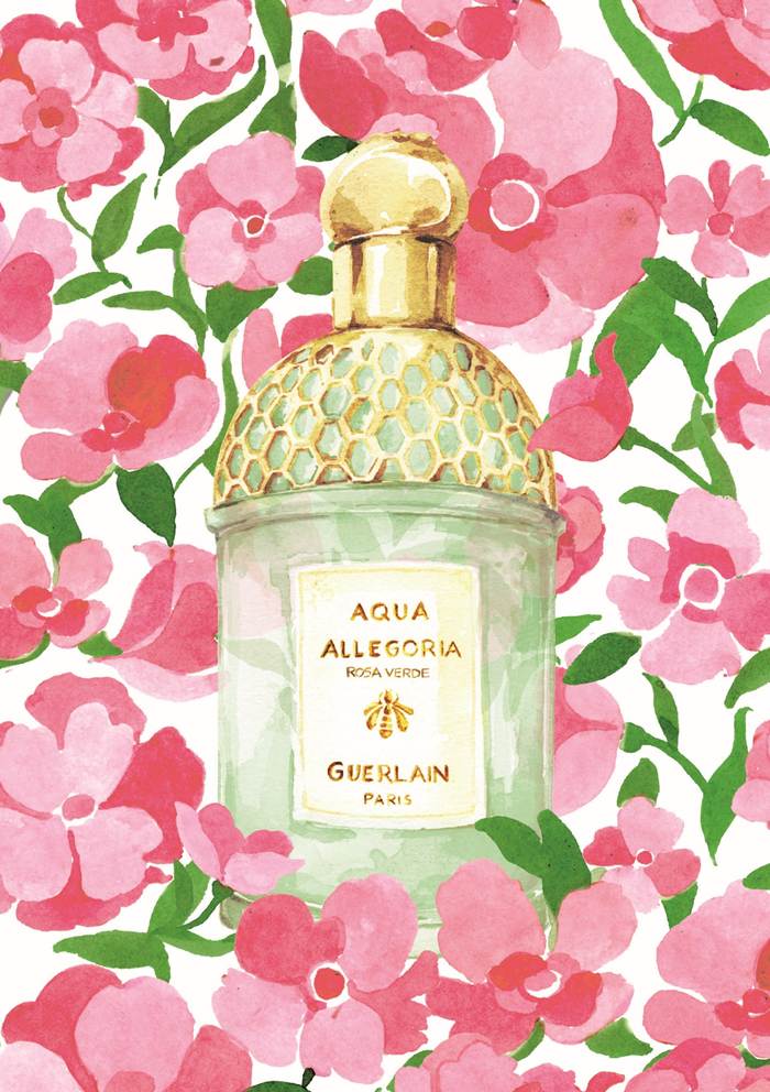 AQUA ALLEGORIA ROSA VERDE